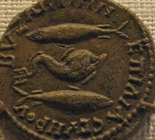 Balık Şehri, Şehrin Balığı